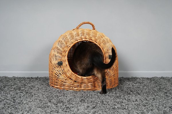 Personnaliser sa grotte pour chat: Astuces et Idées DIY