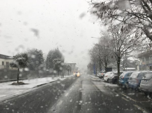 Quelle est l'importance des expositions internationales pour les artistes émergents ?